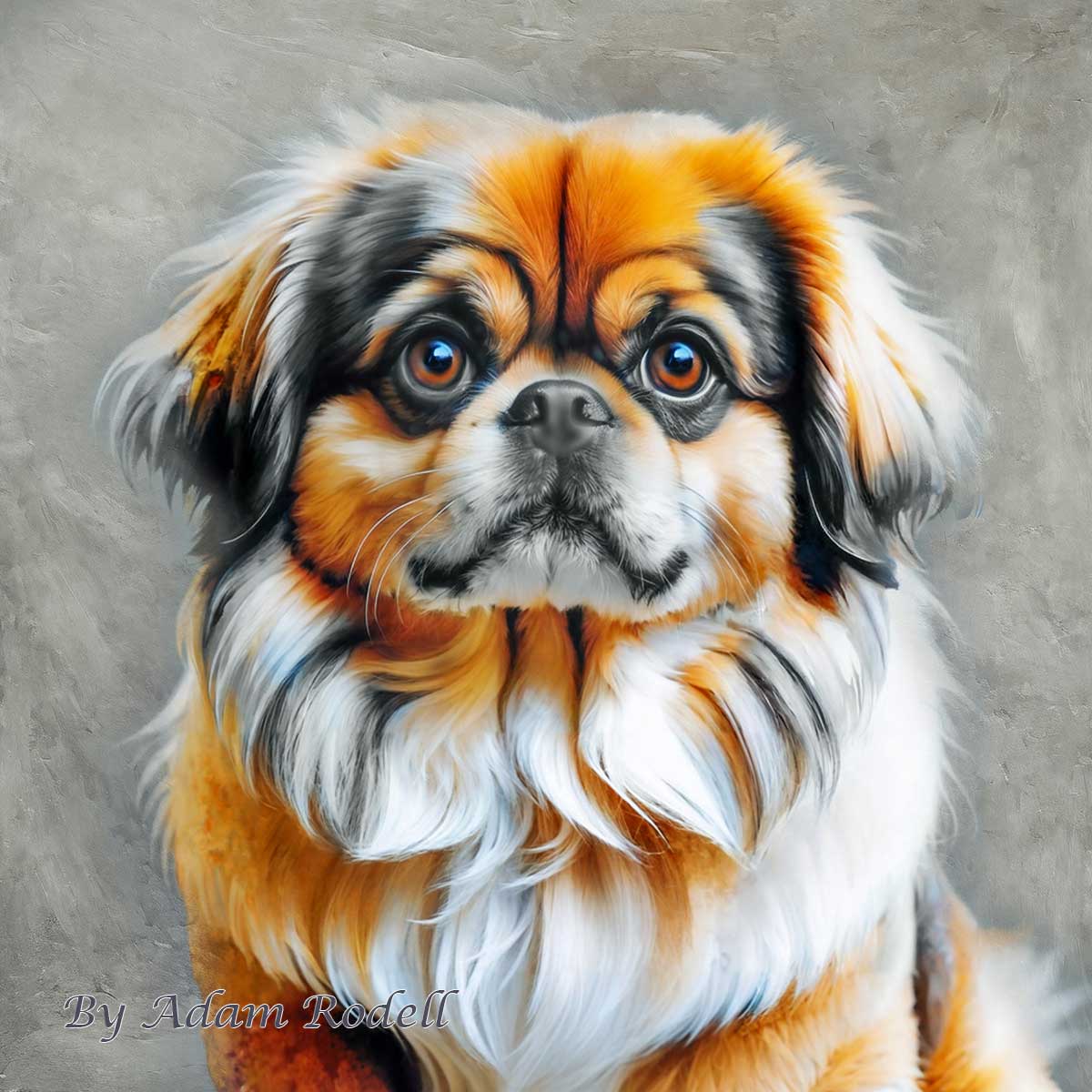 Pekingese dog